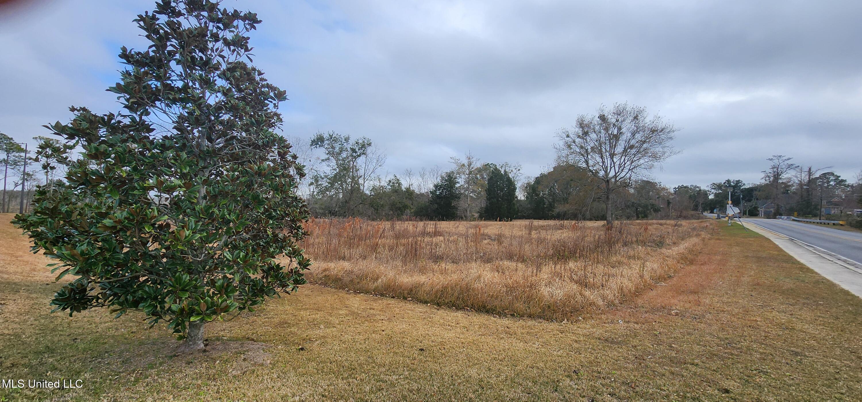 4548 Magnolia Street, Moss Point, Mississippi image 8