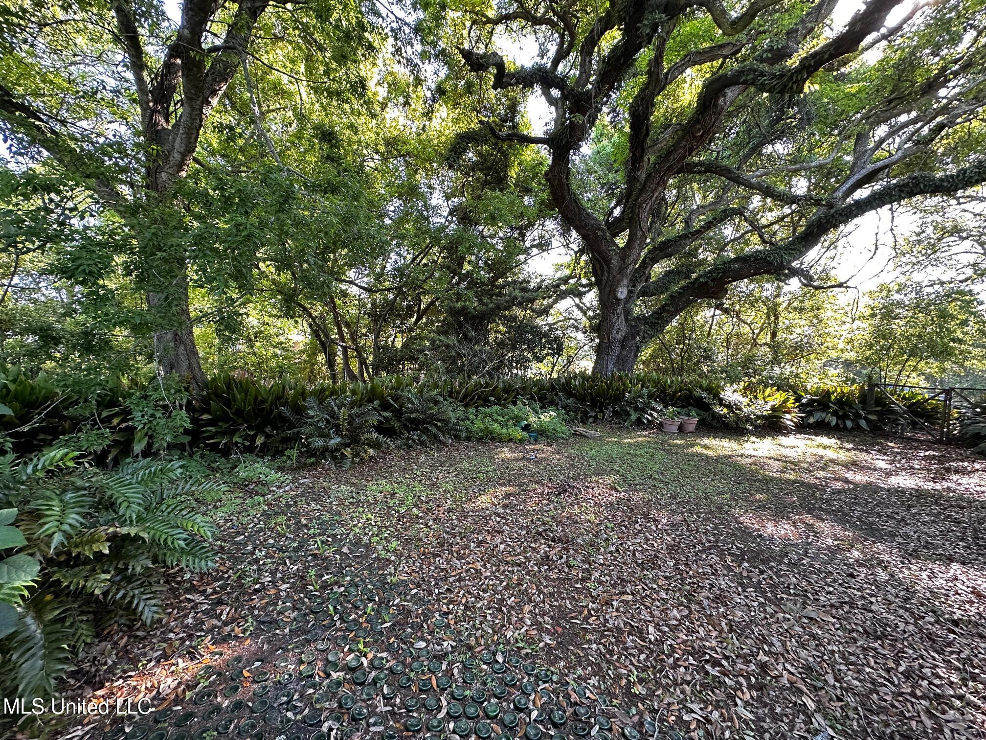 605 Ford Avenue, Pascagoula, Mississippi image 13