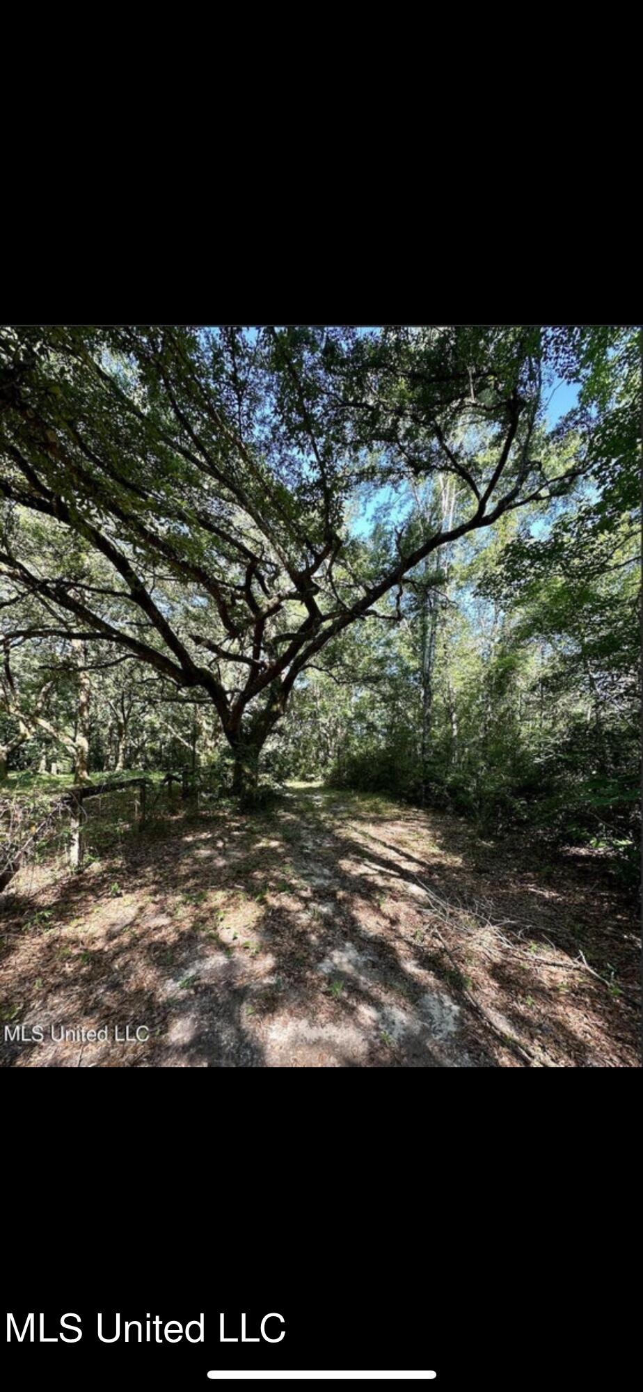 Northrup Cuevas Road, Gulfport, Mississippi image 2