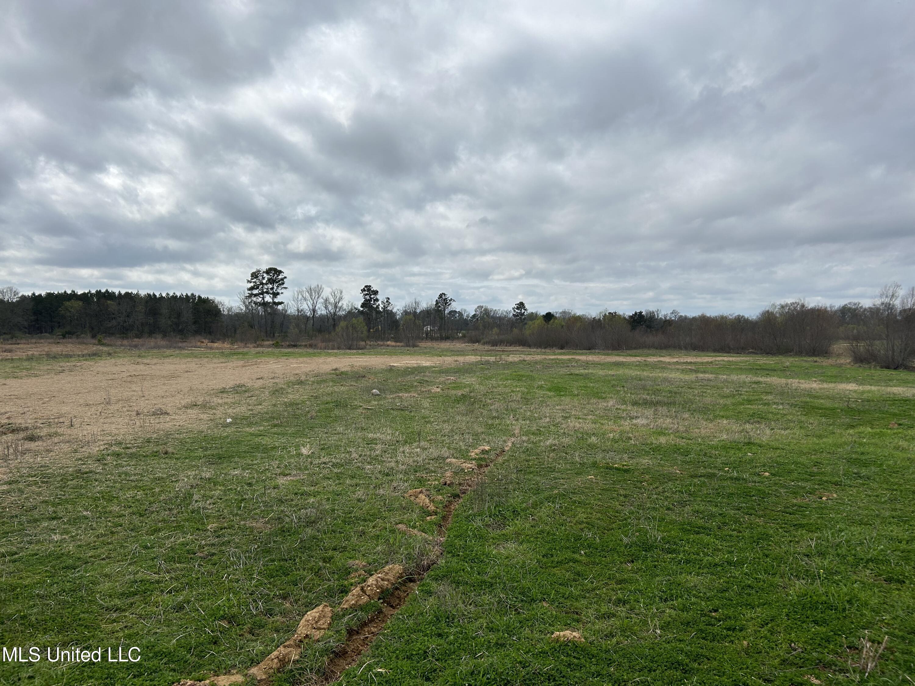 N Old Canton Road, Canton, Mississippi image 9