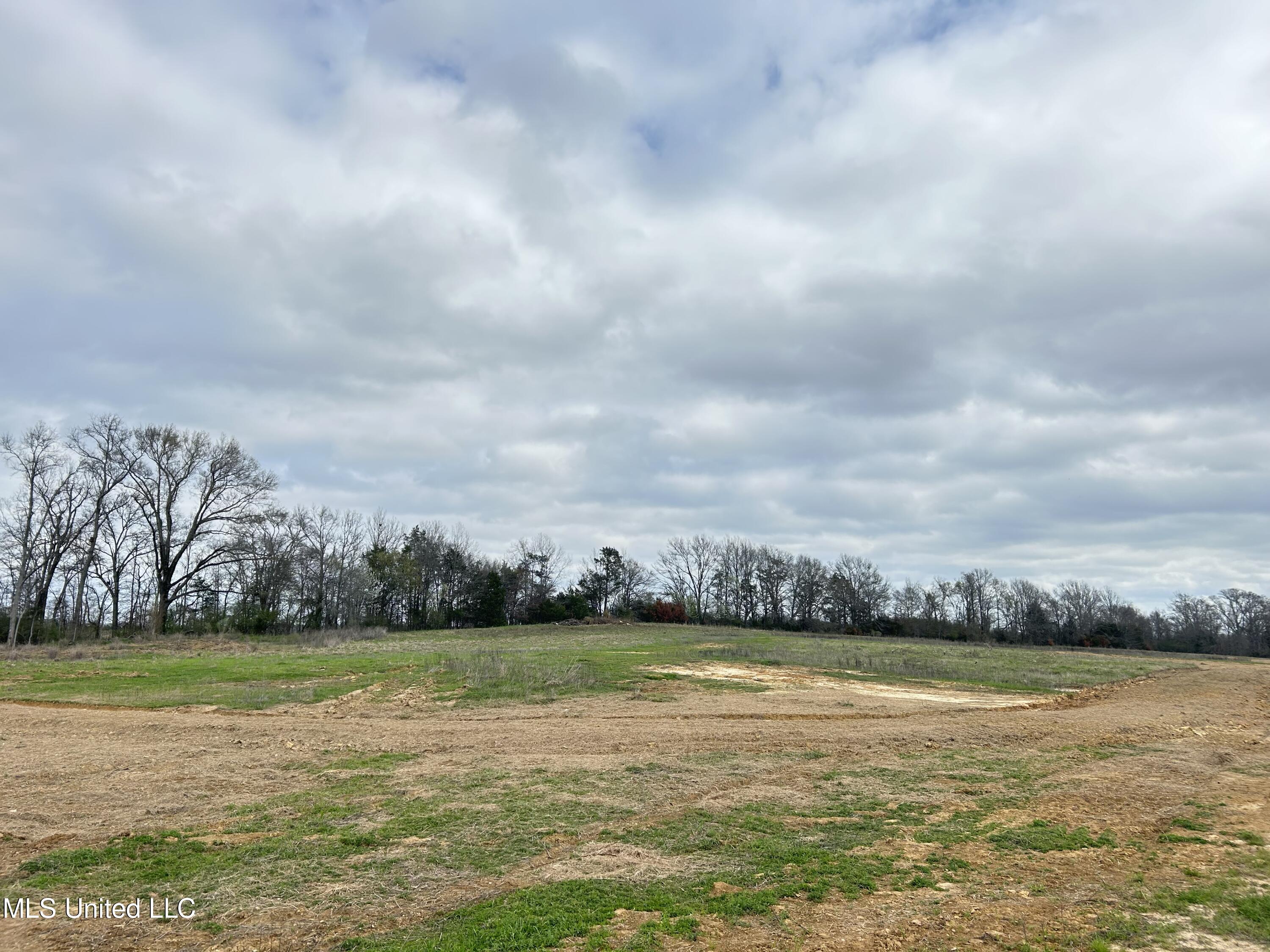 N Old Canton Road, Canton, Mississippi image 8