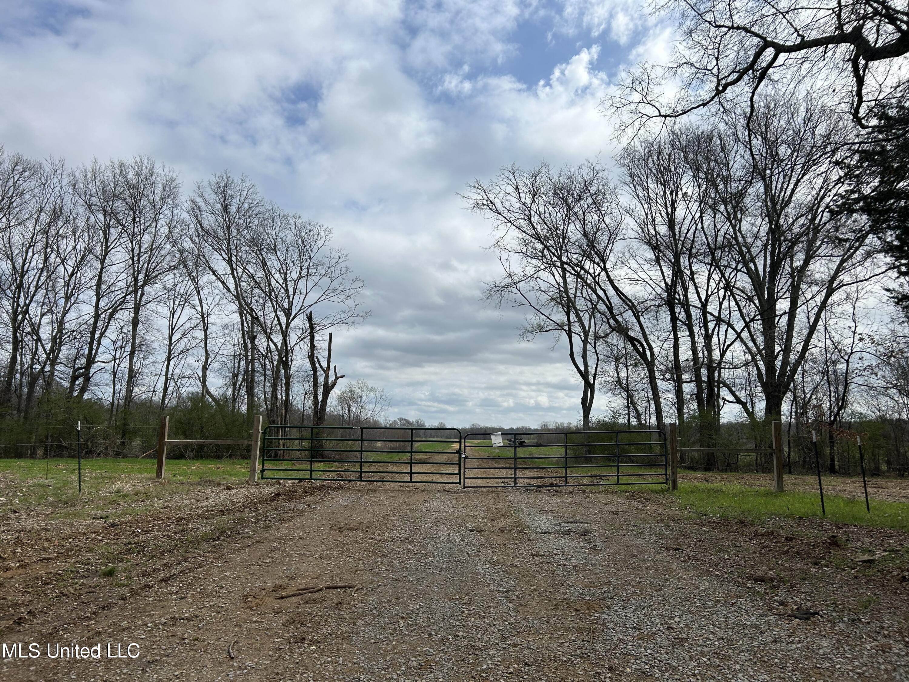 N Old Canton Road, Canton, Mississippi image 1