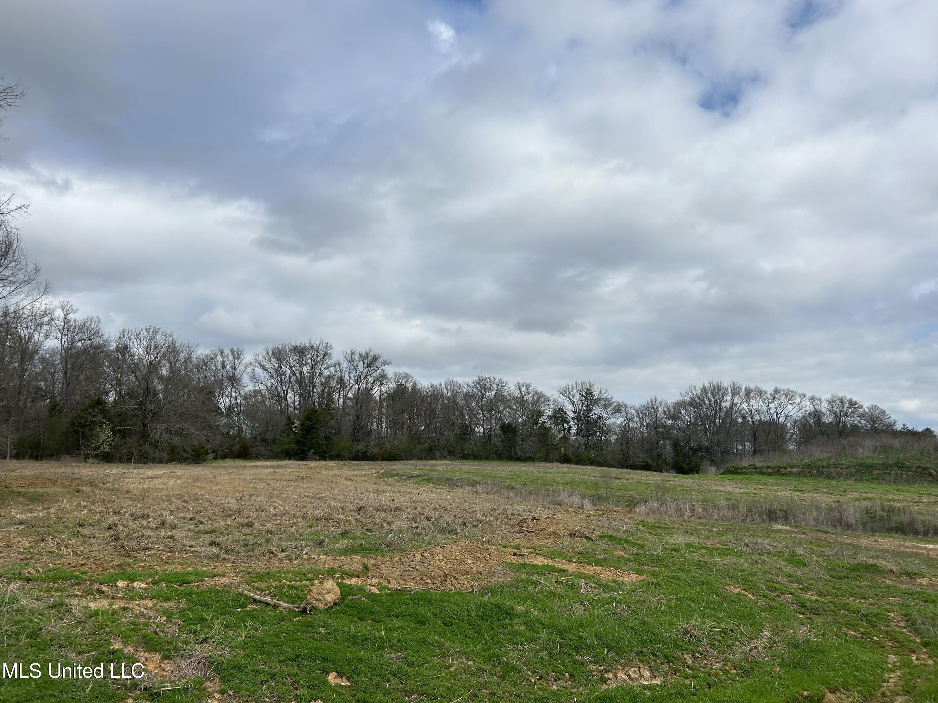 N Old Canton Road, Canton, Mississippi image 5