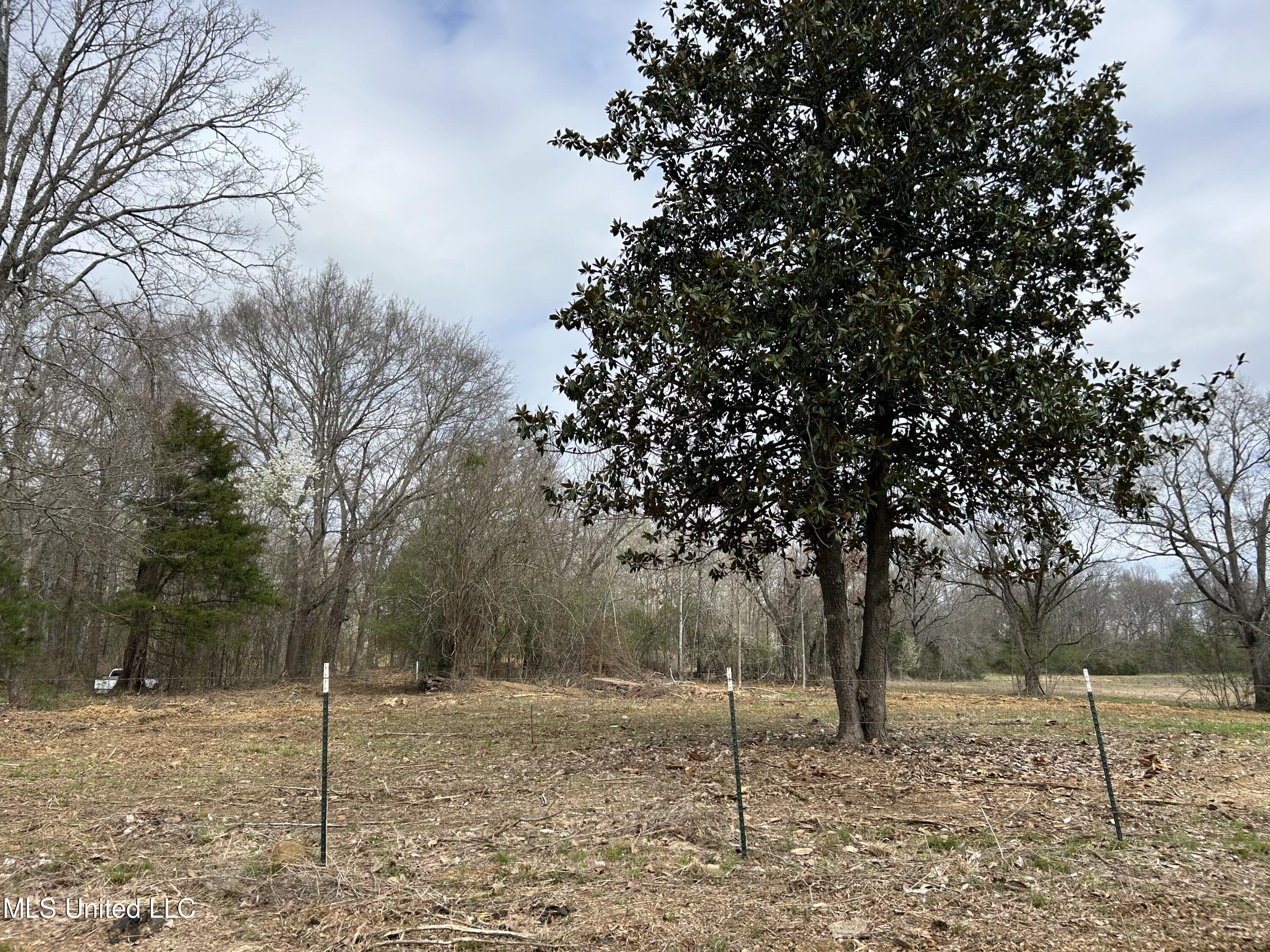 N Old Canton Road, Canton, Mississippi image 3