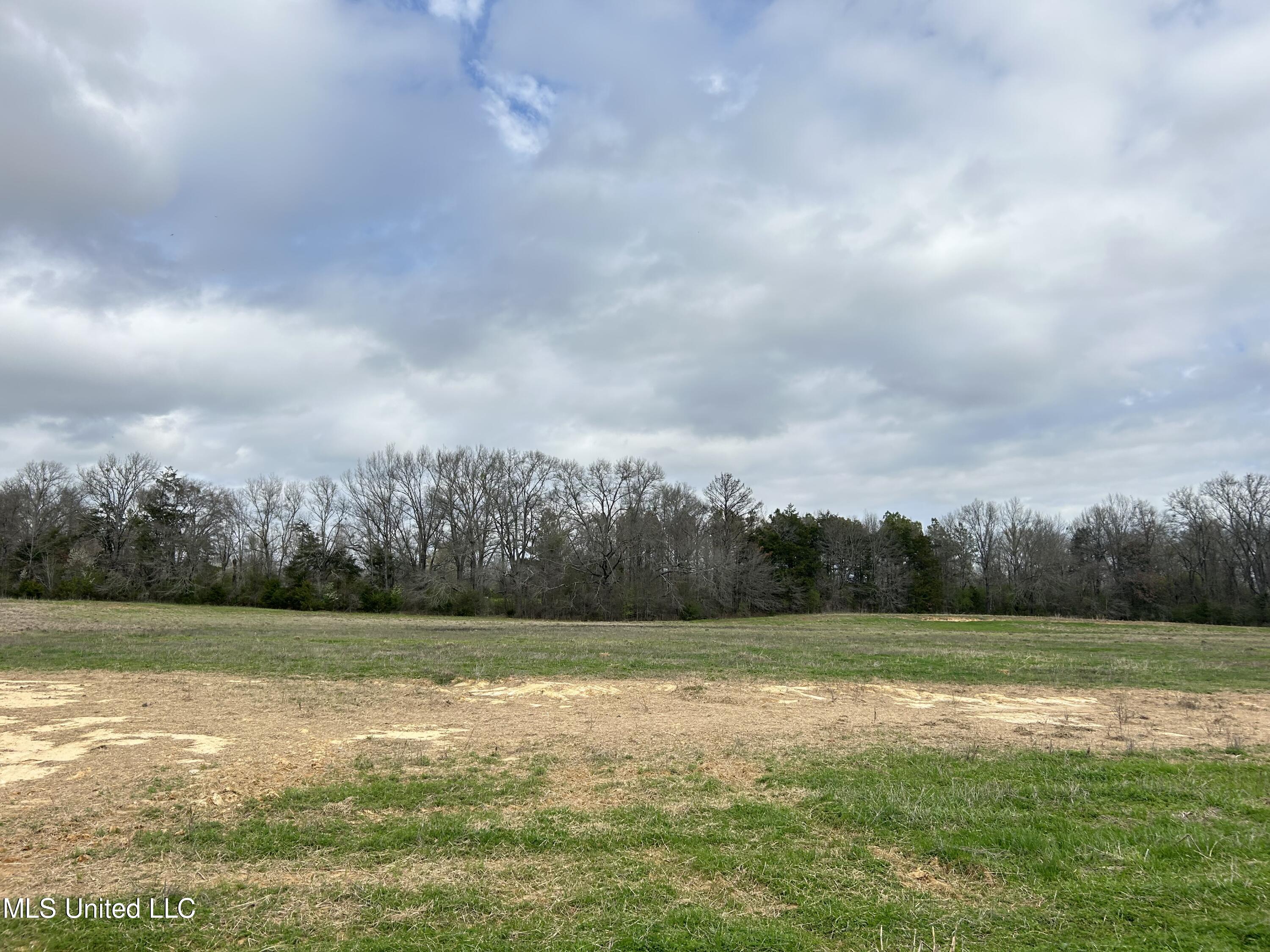 N Old Canton Road, Canton, Mississippi image 6