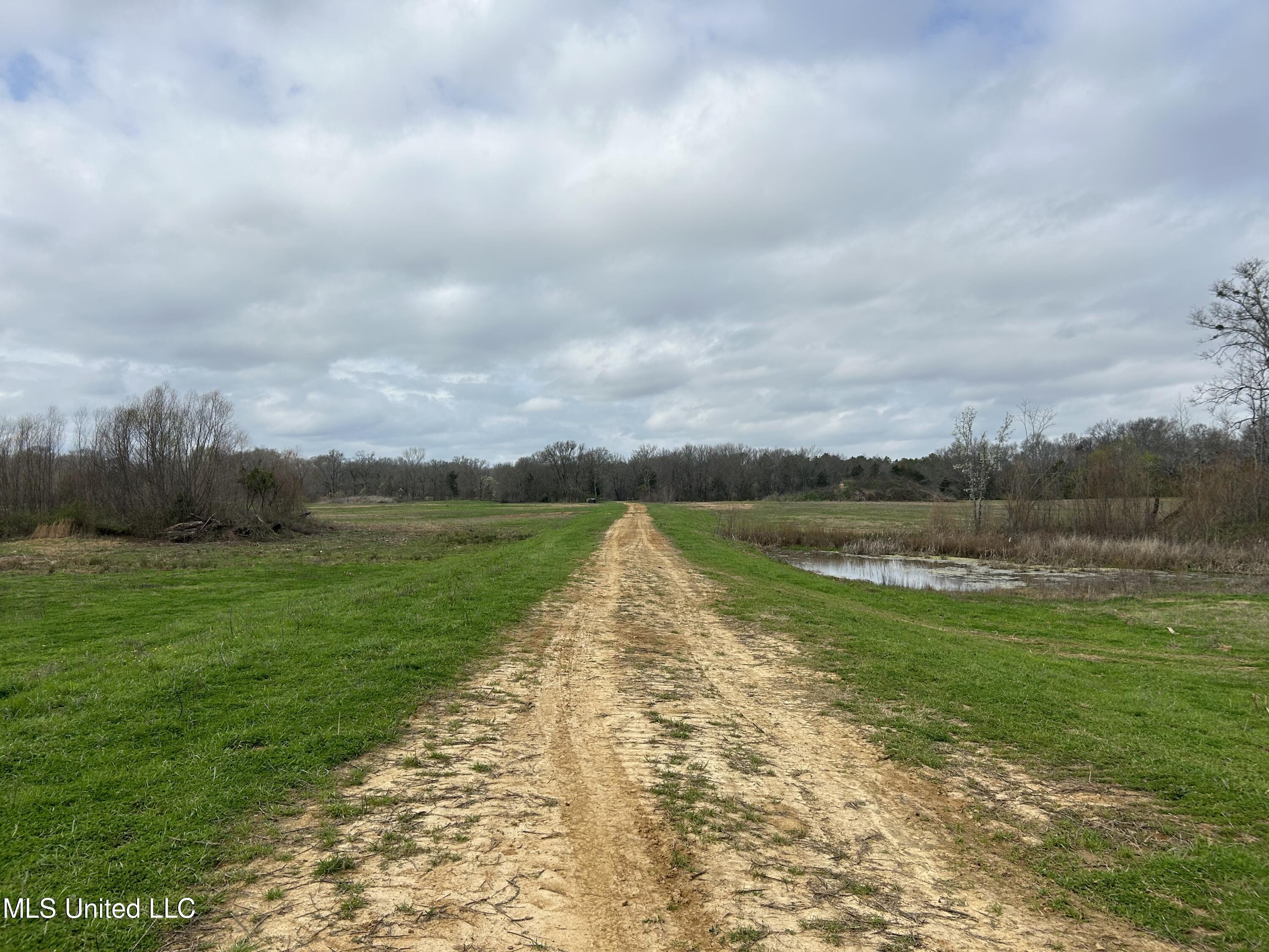 N Old Canton Road, Canton, Mississippi image 14