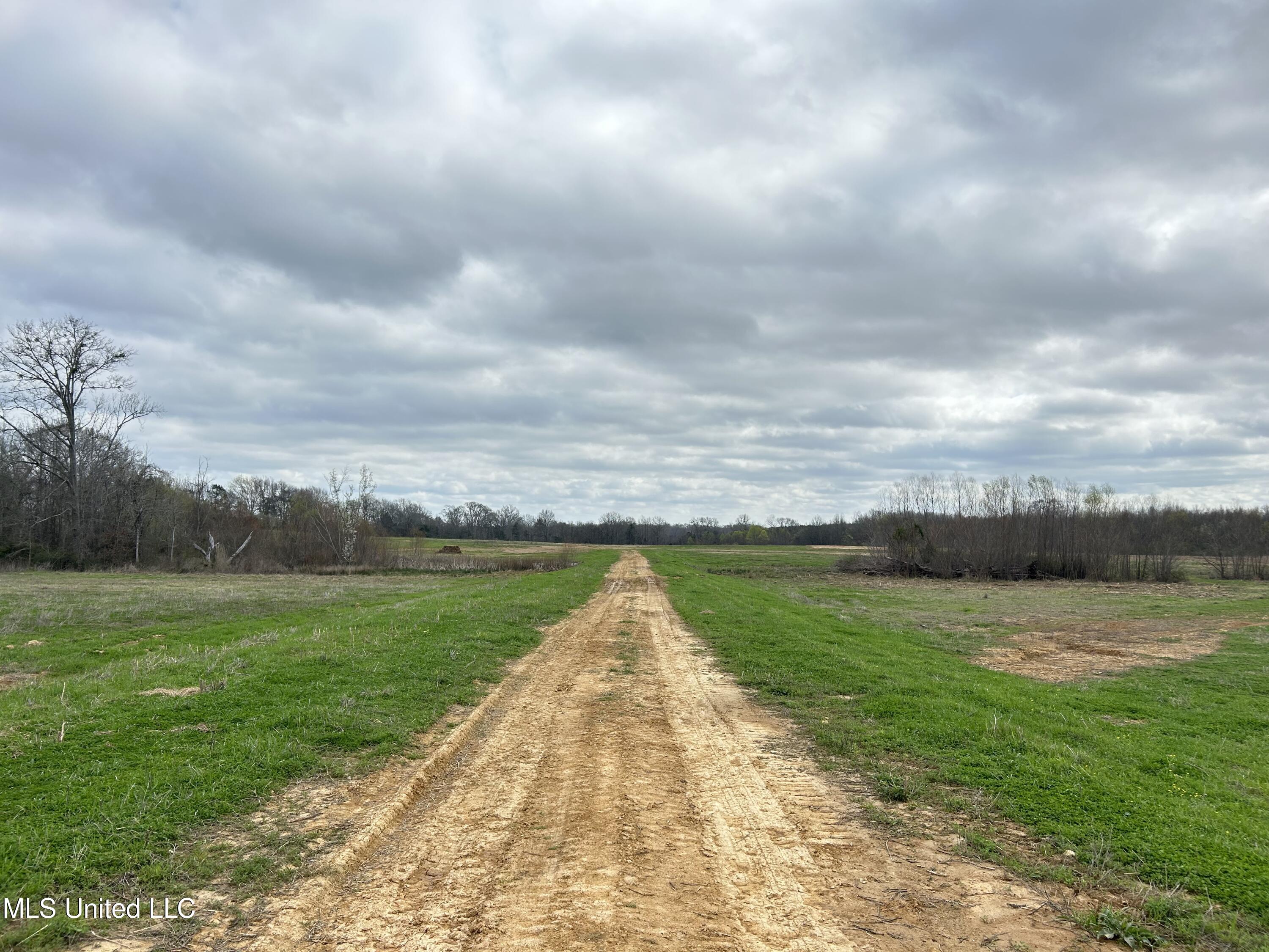 N Old Canton Road, Canton, Mississippi image 7