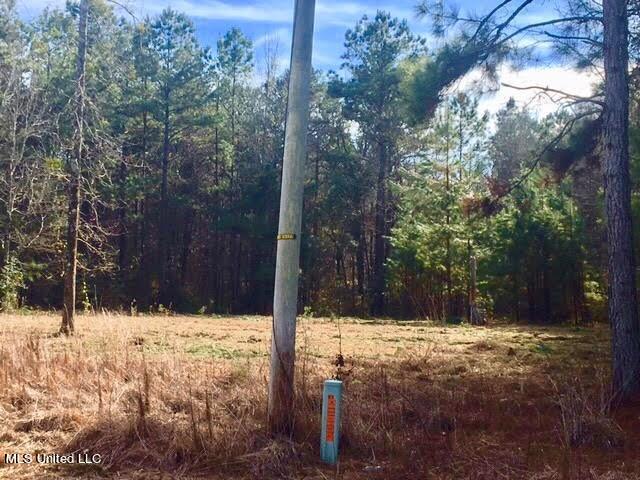 77.83 Ac Oxford Meadville Road, Gloster, Mississippi image 2