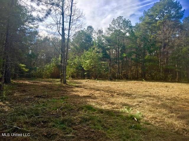 77.83 Ac Oxford Meadville Road, Gloster, Mississippi image 1