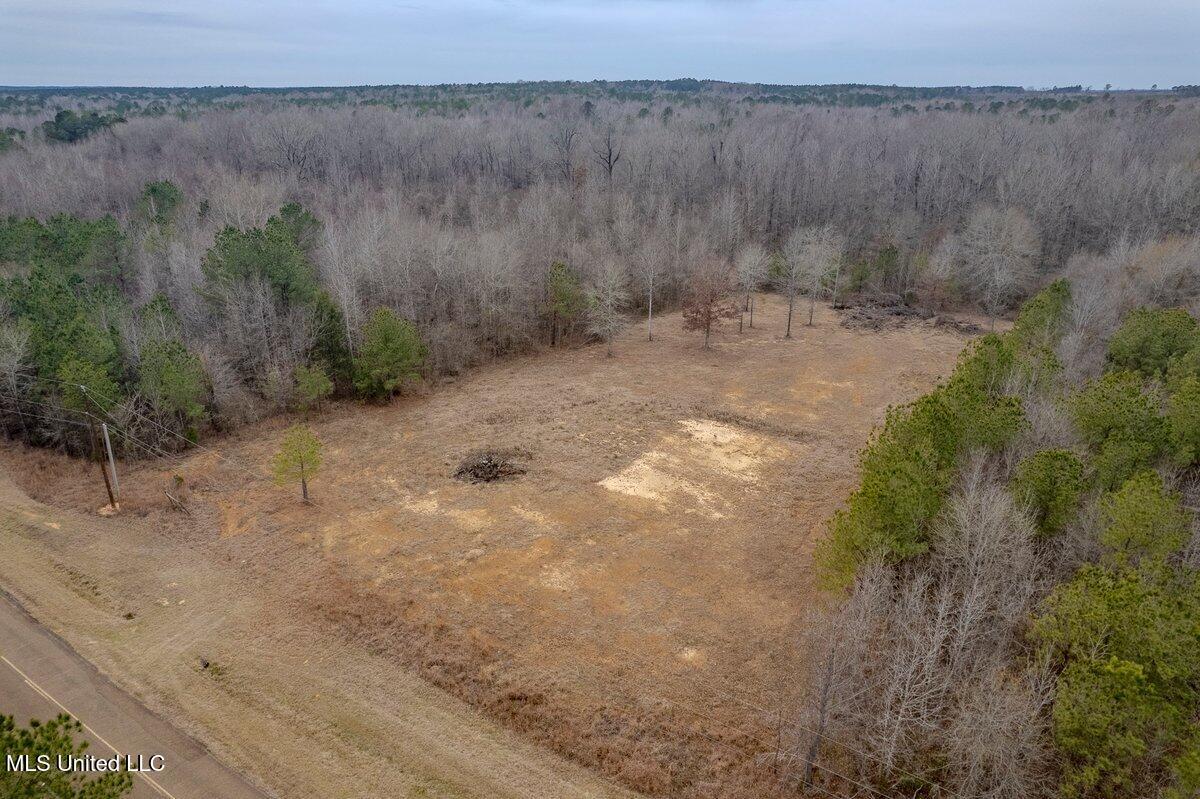 1018 Mt. Pilgrim Road, Camden, Mississippi image 1