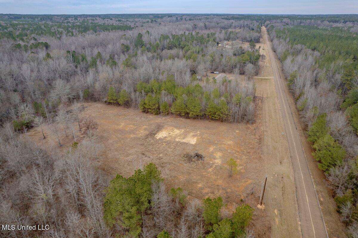 1018 Mt. Pilgrim Road, Camden, Mississippi image 4