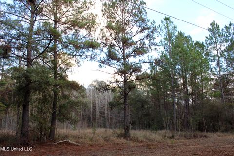Vacant Land For Sale - Salem Campground Road<br/> Lucedale, MS 39452