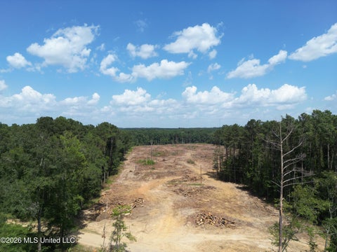 Vacant Land For Sale - SE Cole Drive<br/> Bogue Chitto, MS 39629