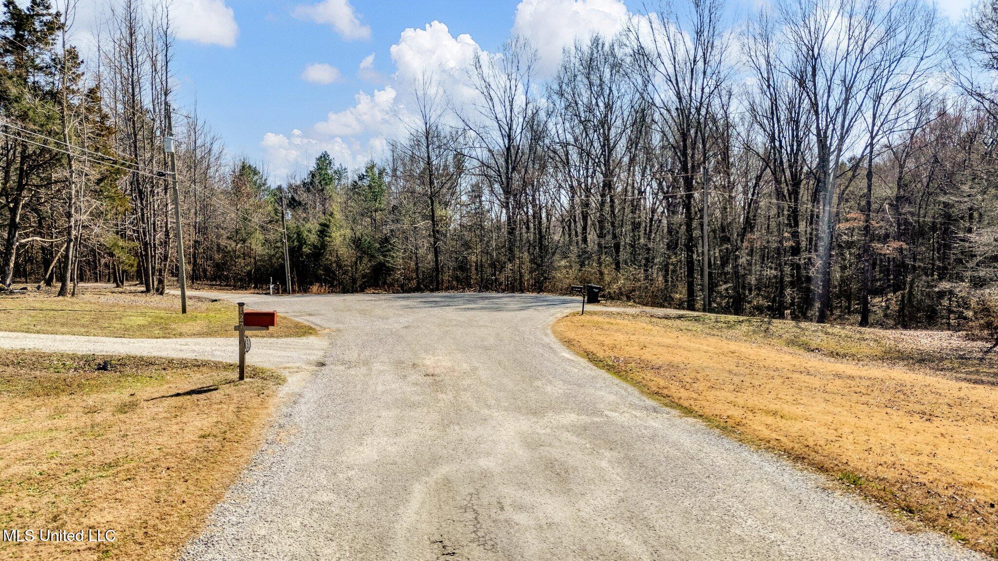 Tulip Cove, Byhalia, Mississippi image 10