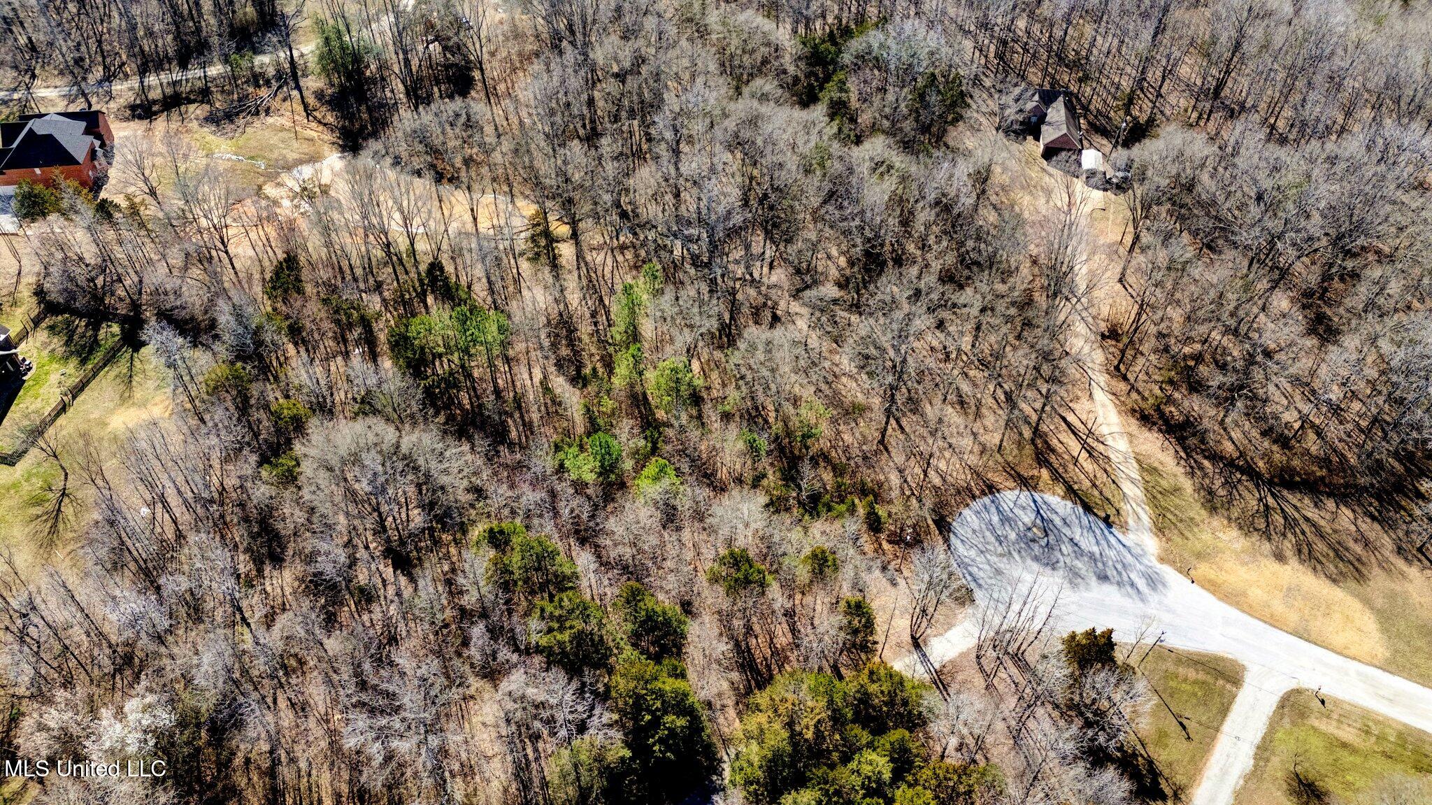 Tulip Cove, Byhalia, Mississippi image 8