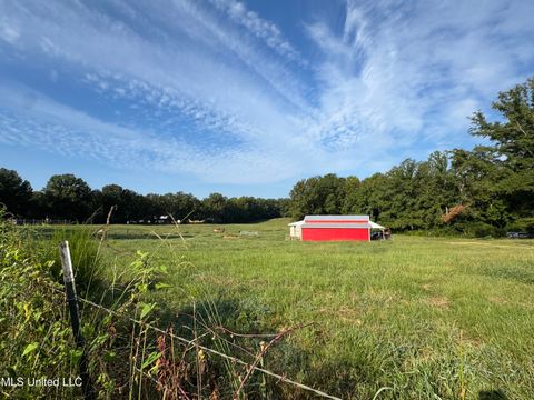 Vacant Land For Sale - 51 Gunter Street<br/> Lena, MS 39094