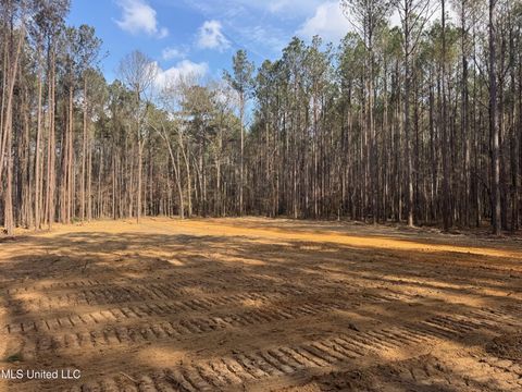 Vacant Land For Sale - Robinson Road<br/> Canton, MS 39046