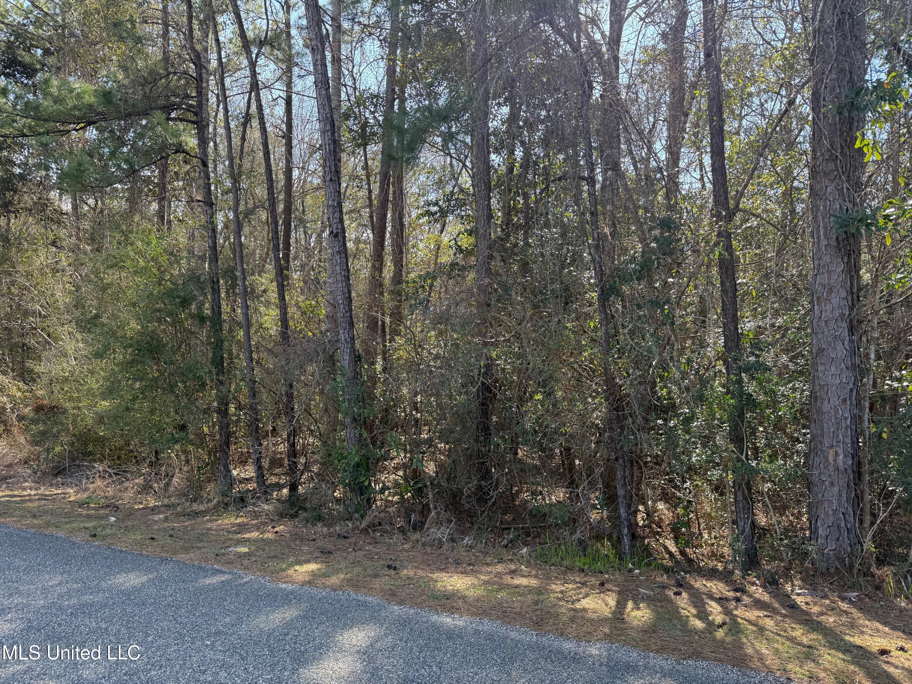 94167 Bayou Drive, Diamondhead, Mississippi image 2