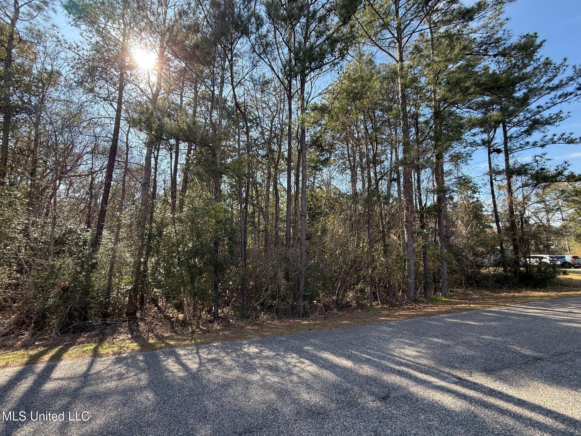 94167 Bayou Drive, Diamondhead, Mississippi image 1