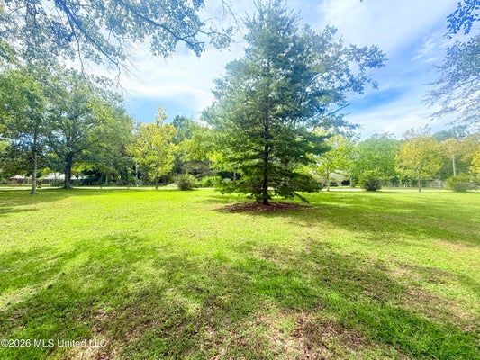 OLD SHELL LANDING RD, OCEAN SPRINGS, MS 39564 - Image c604959e6c96bb639e5daa67a2913e17/739829532
