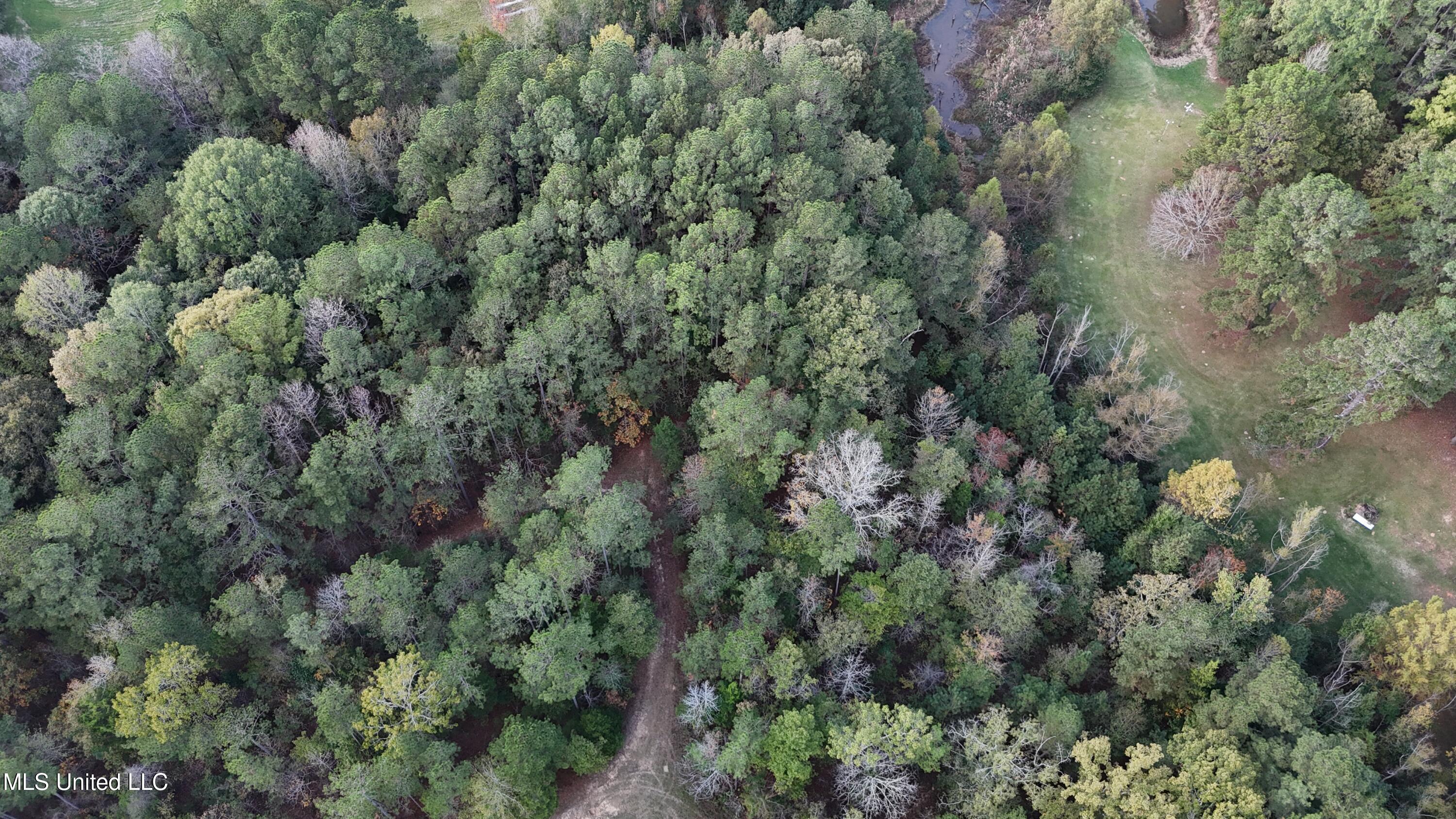 Bones Rd Road, Florence, Mississippi image 5