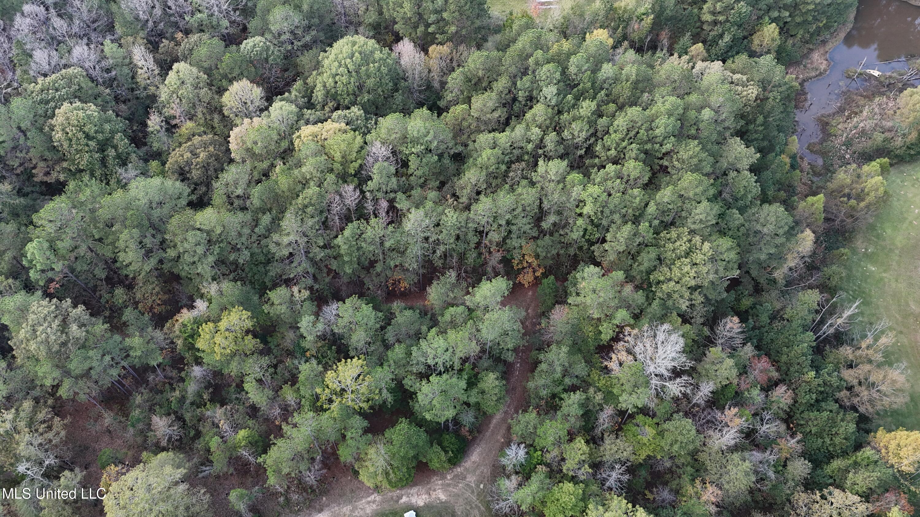 Bones Rd Road, Florence, Mississippi image 6