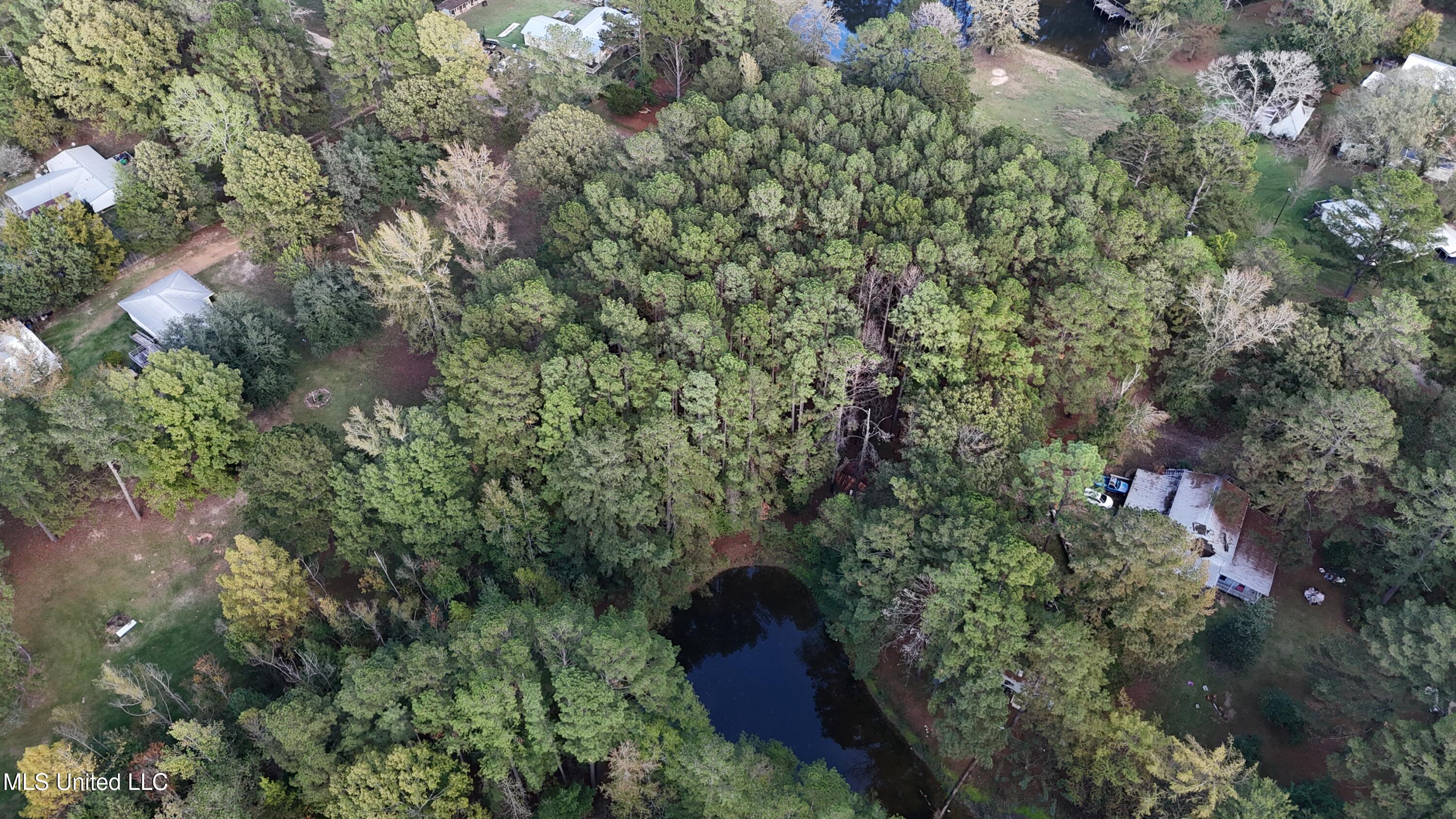 Bones Rd Road, Florence, Mississippi image 4