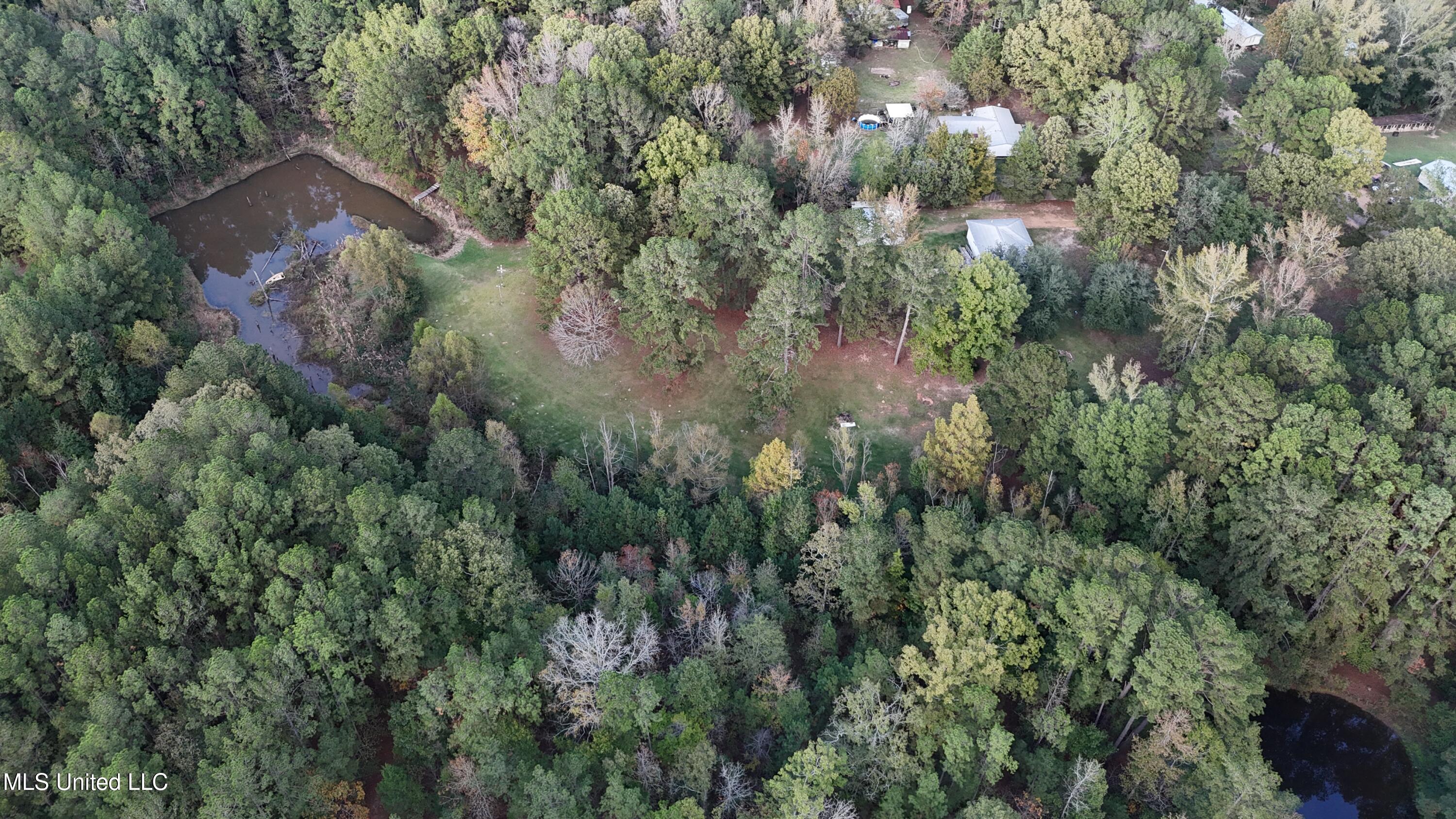 Bones Rd Road, Florence, Mississippi image 3