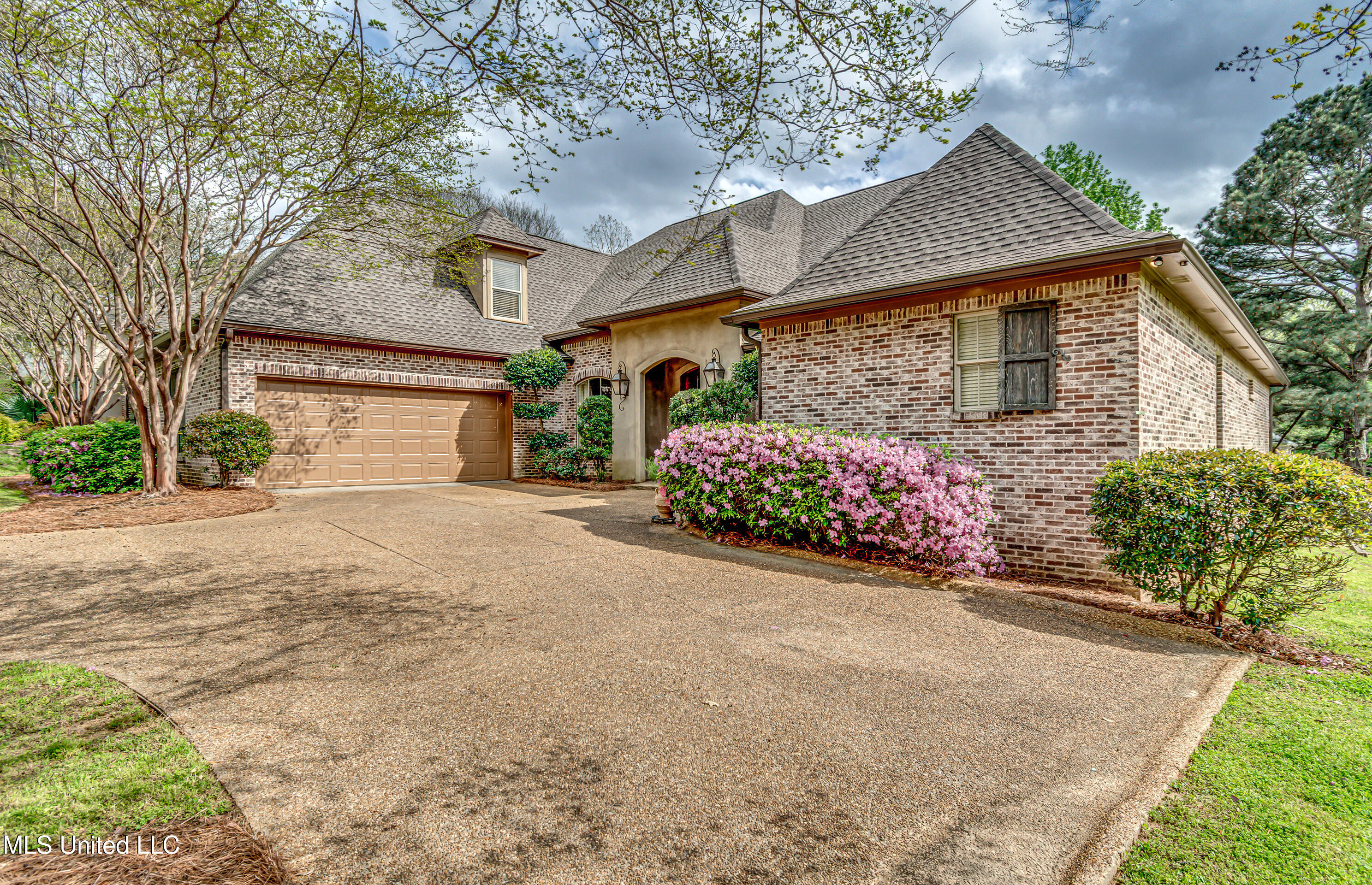 241 Sycamore Lane, Madison, Mississippi image 1