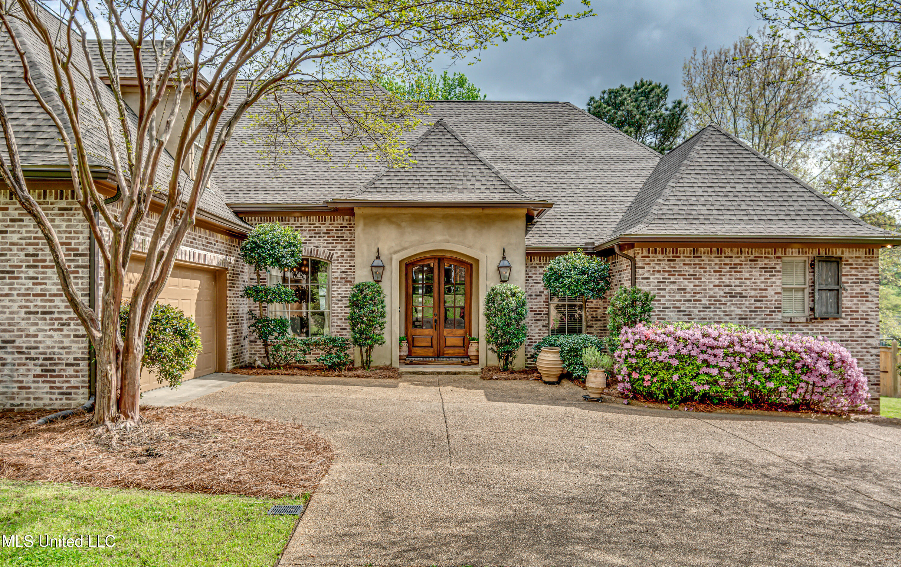 241 Sycamore Lane, Madison, Mississippi image 4