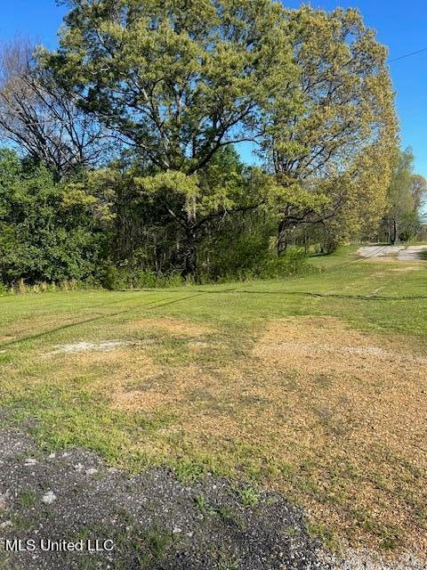 Vacant Land For Sale - 6709 Tchulahoma Road<br/> Southaven, MS 38671