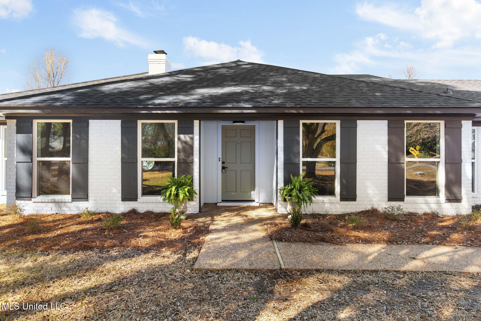 310 Lakeside Drive, Brandon, Mississippi image 3