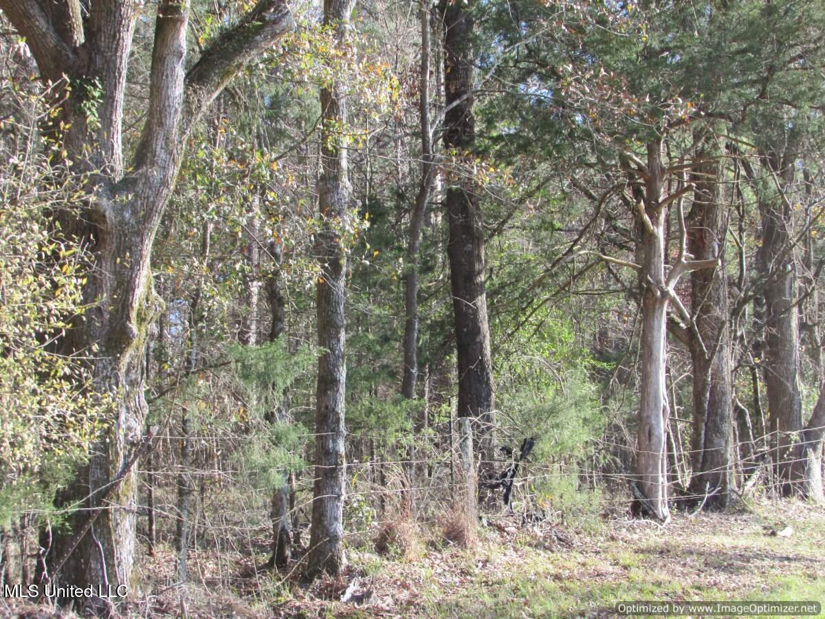 Hwy 43 North, Canton, Mississippi image 30