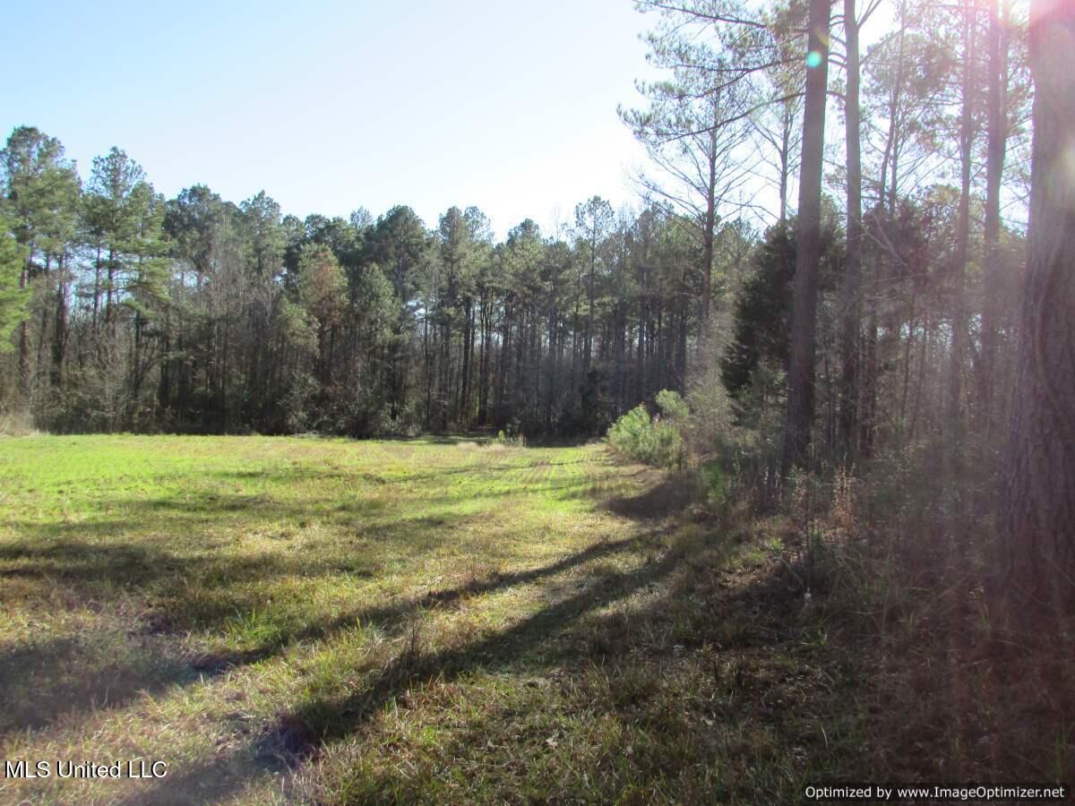 Hwy 43 North, Canton, Mississippi image 17