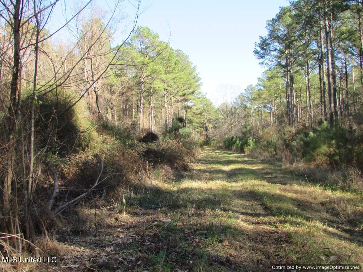 Hwy 43 North, Canton, Mississippi image 5