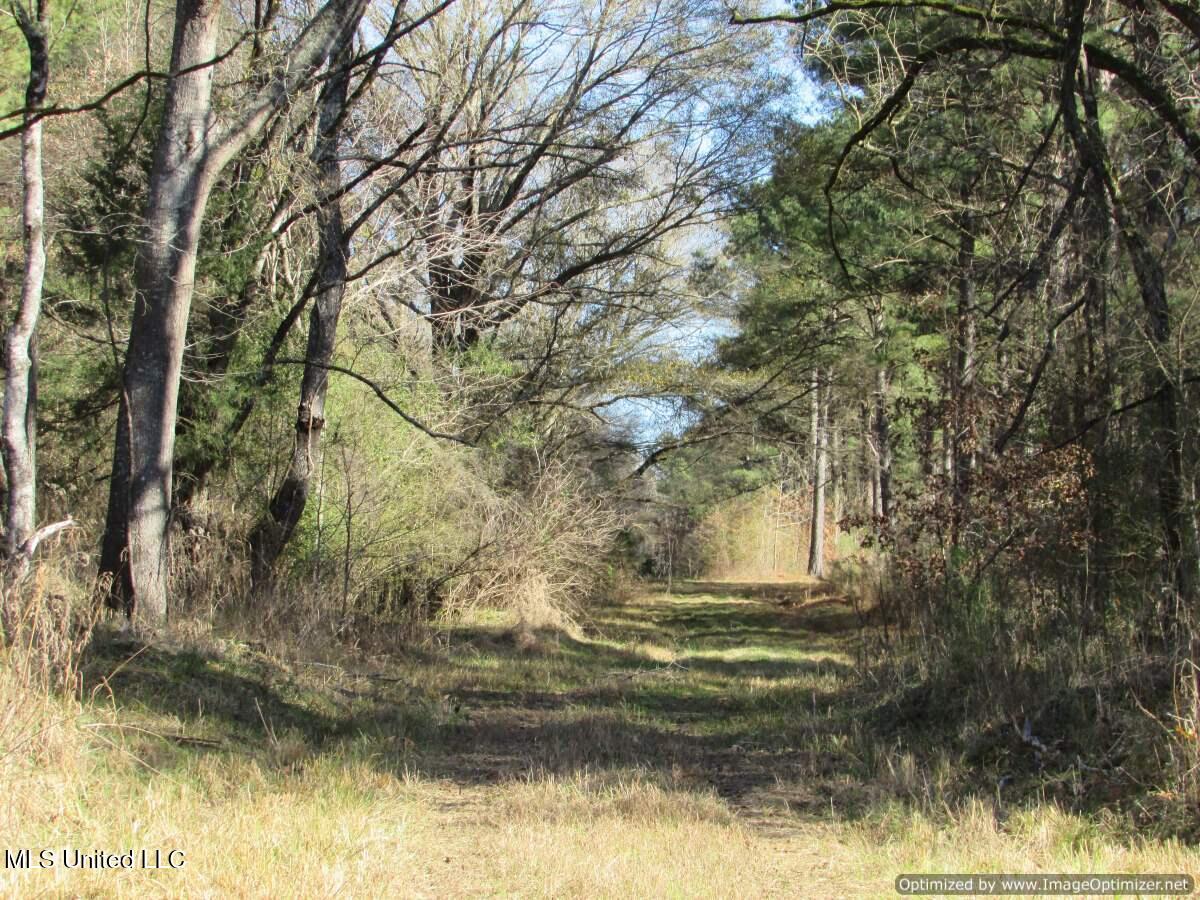 Hwy 43 North, Canton, Mississippi image 9