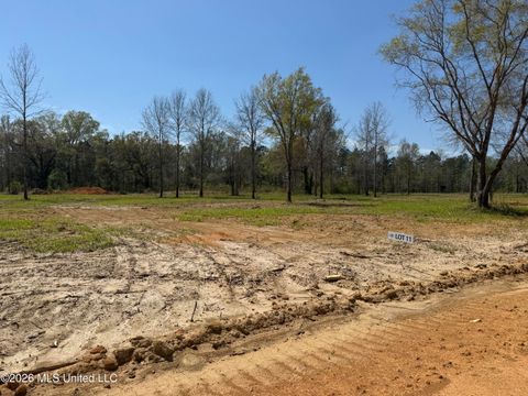 Vacant Land For Sale - LOT 11 Oakley Lane<br/> Lucedale, MS 39452