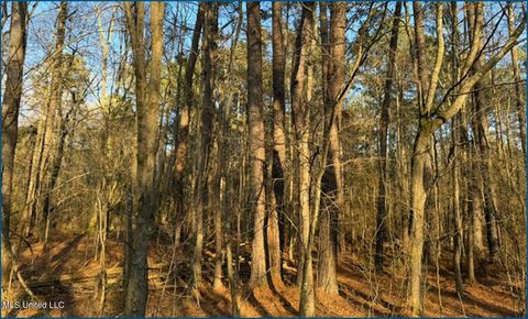 Vacant Land For Sale - Will Brown<br/> Newton County, Conehatta, MS 39057