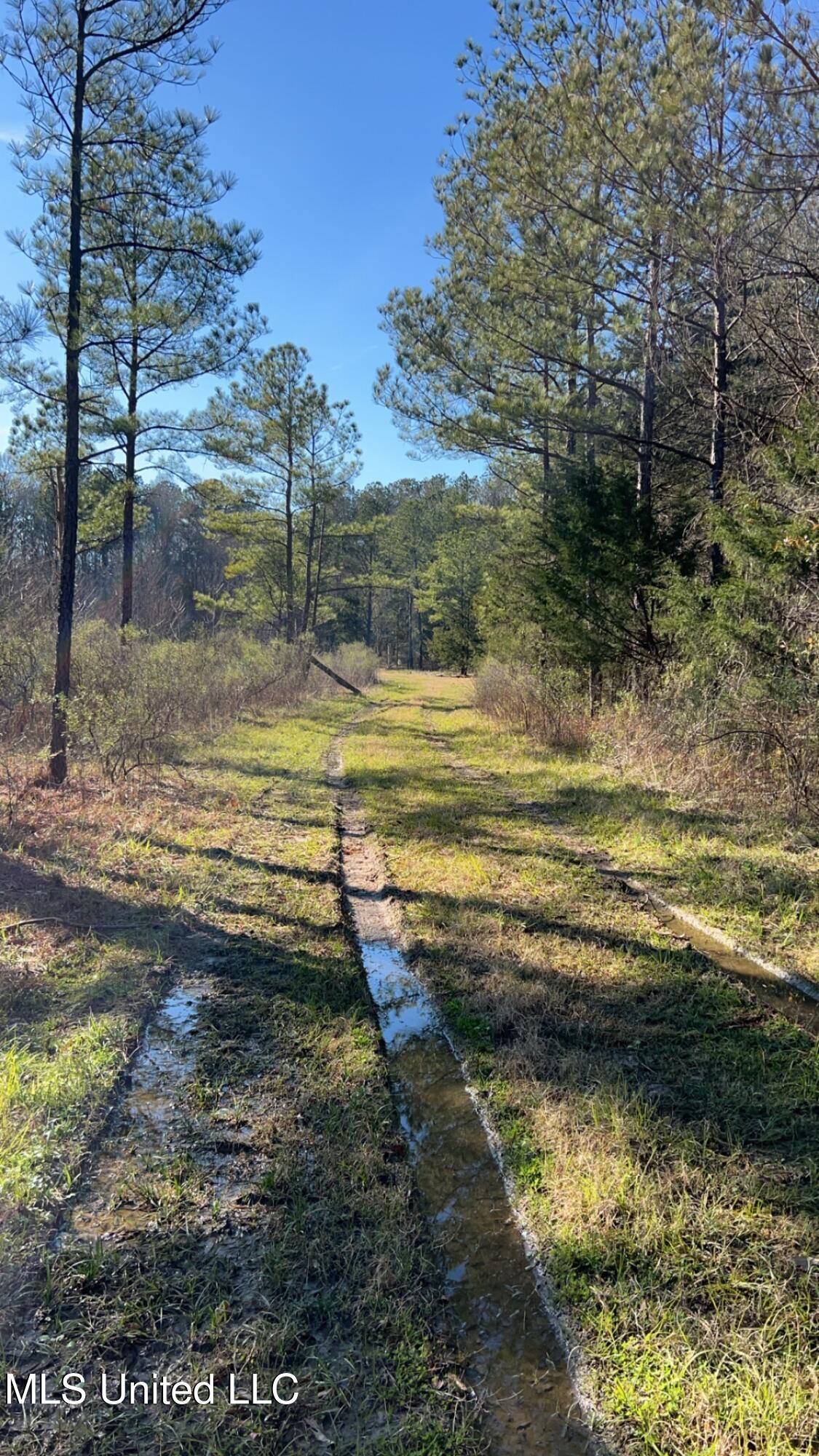 St Augustine Drive, Pearl, Mississippi image 6