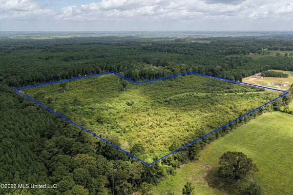 226 VAN HOLMES RD, TYLERTOWN, MS 39667 - Image c6c20daf3ee4202d4f83b5e8dffc8253/3829471560