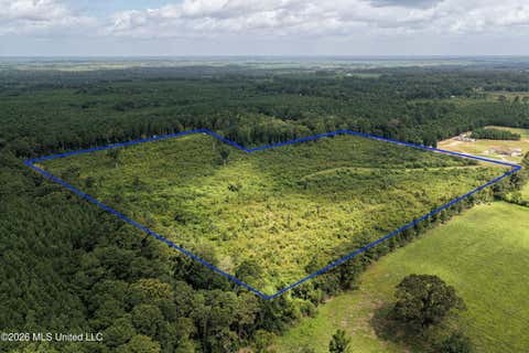 Vacant Land For Sale - 226 Van Holmes Road<br/> Tylertown, MS 39667
