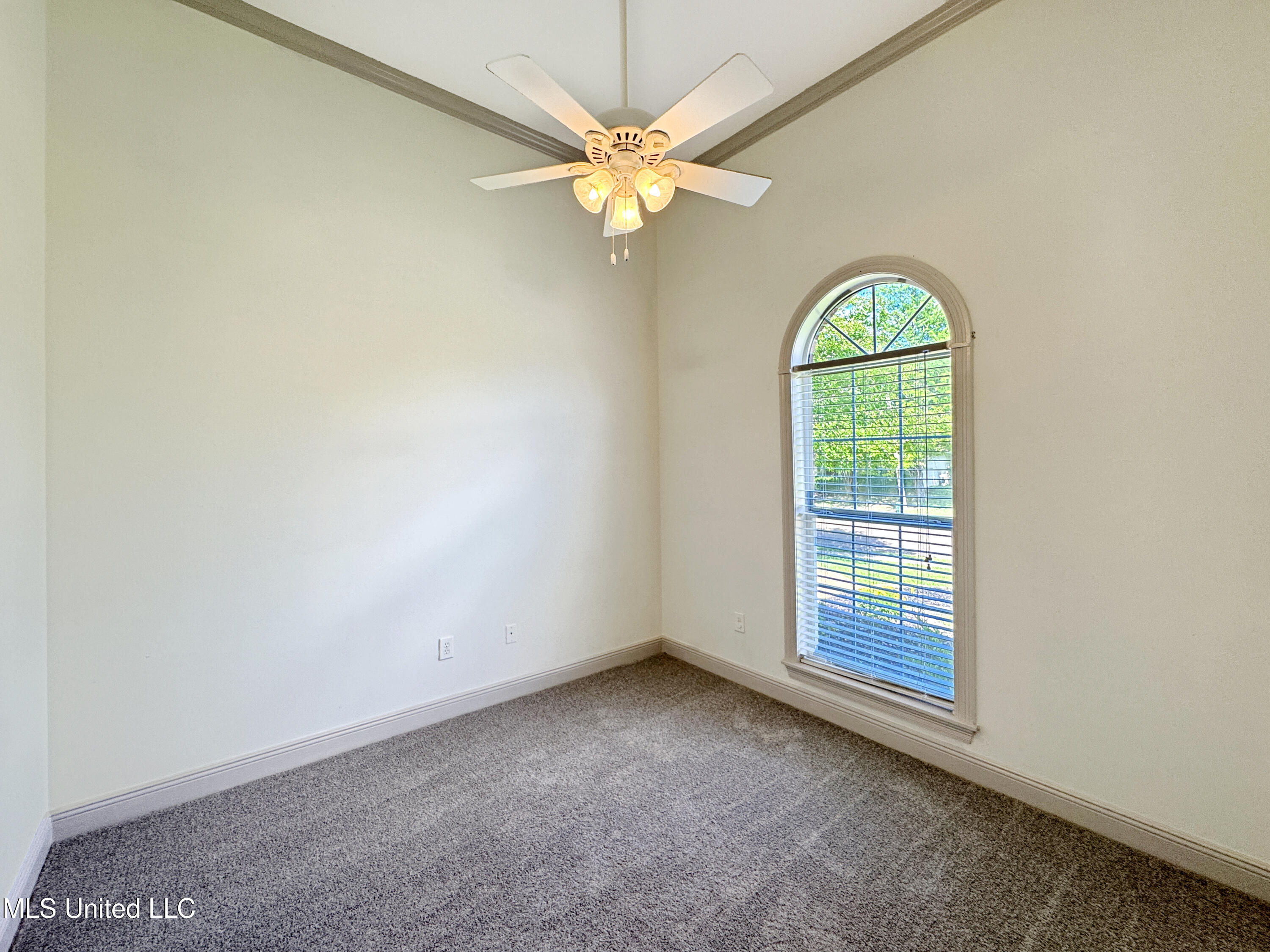 1029 Wakefield Place, Brandon, Mississippi image 27