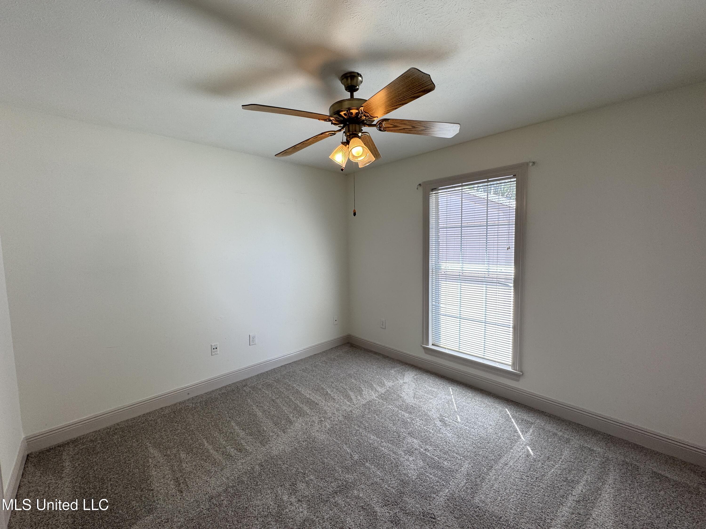 1029 Wakefield Place, Brandon, Mississippi image 22