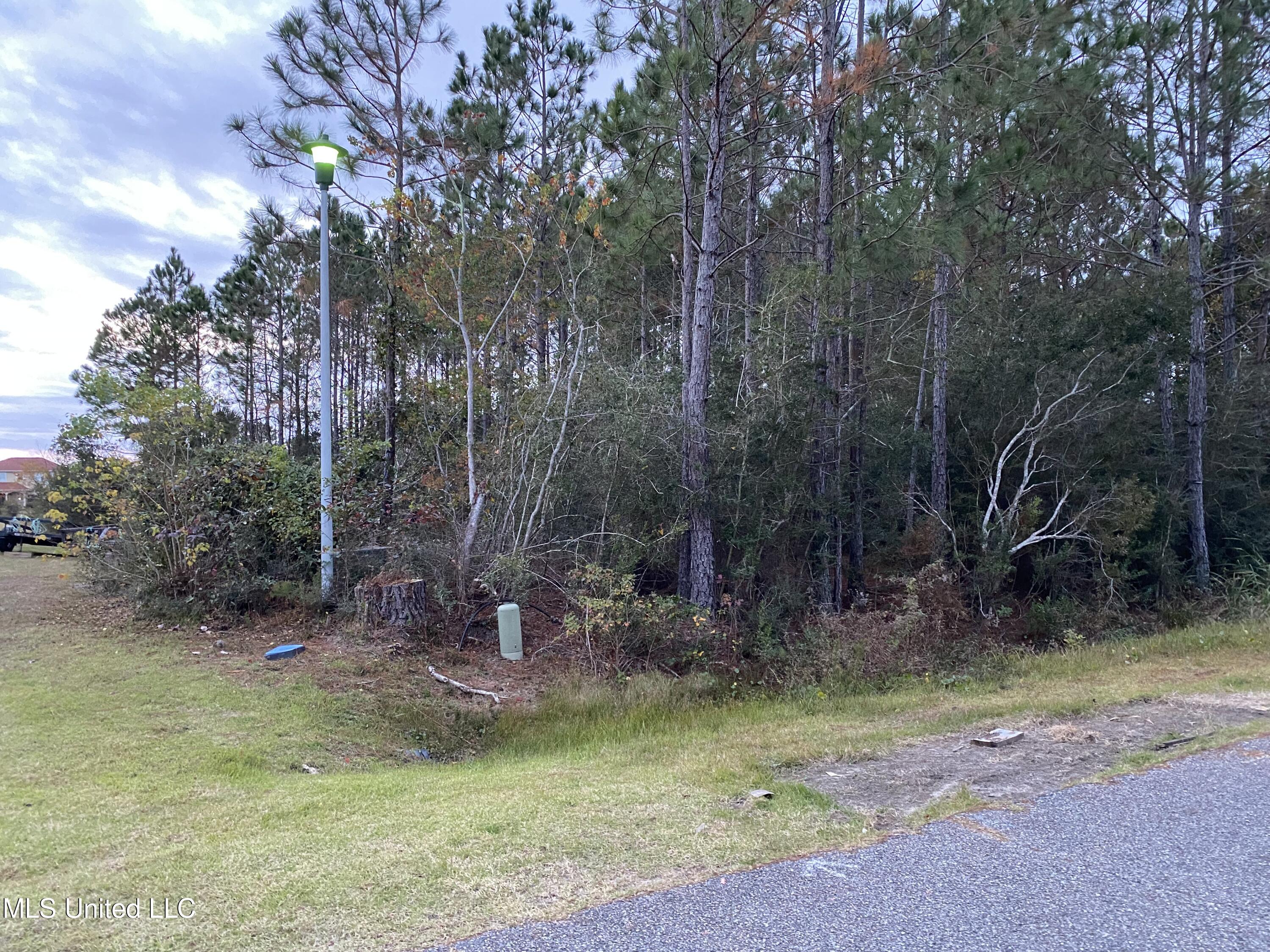 Seawinds Boulevard, Biloxi, Mississippi image 8