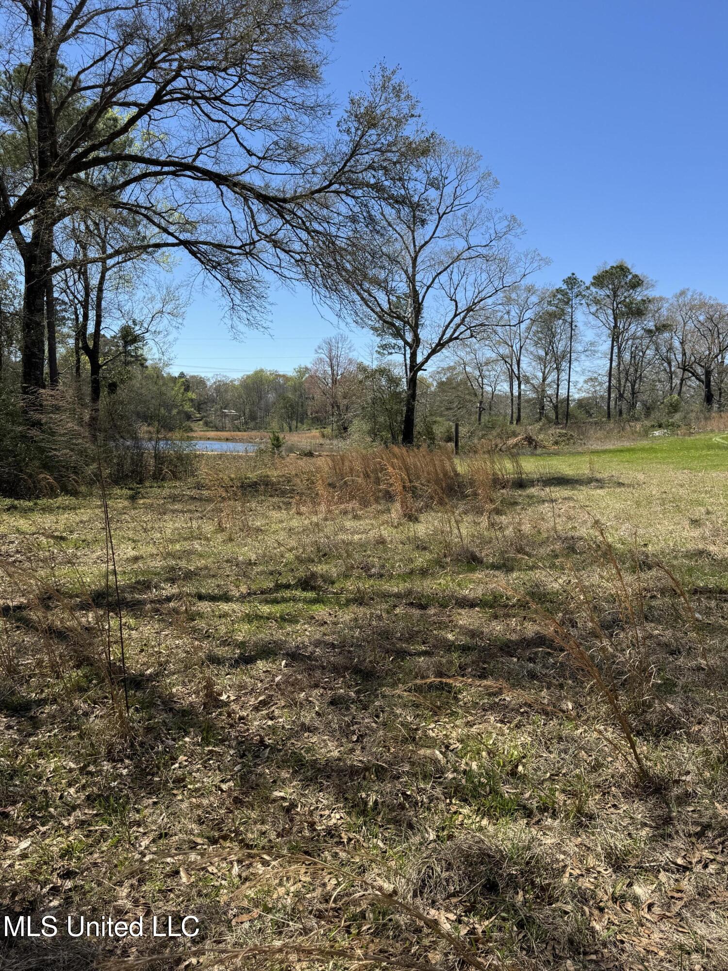 20 Otho Davis Road, Lumberton, Mississippi image 5