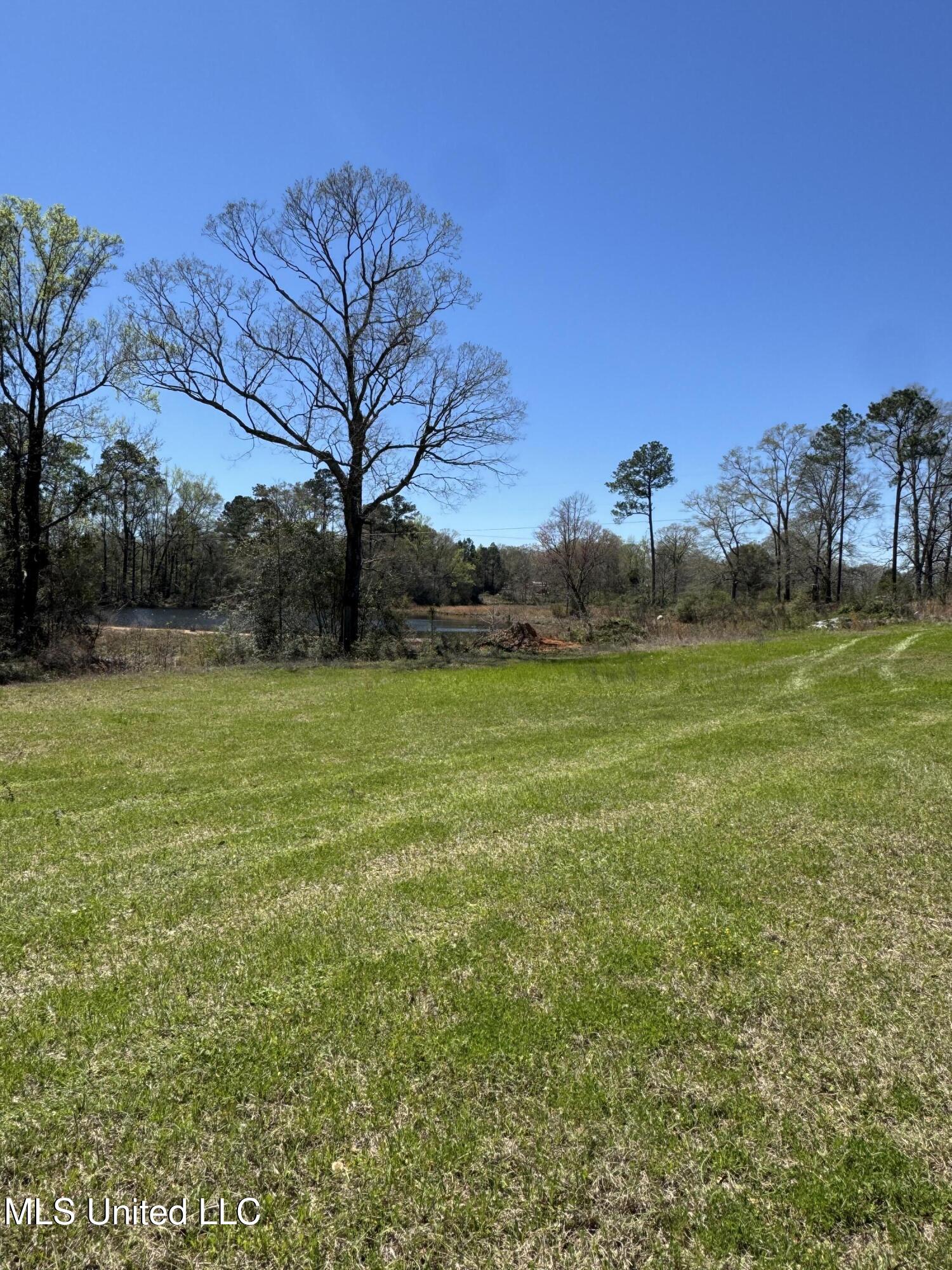 20 Otho Davis Road, Lumberton, Mississippi image 4