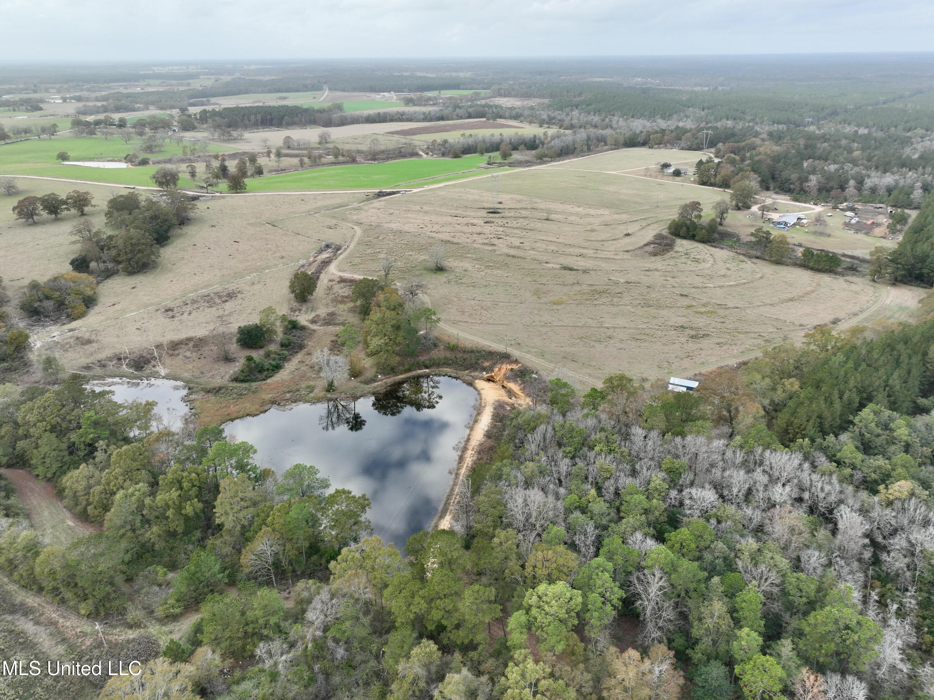 20 Otho Davis Road, Lumberton, Mississippi image 1