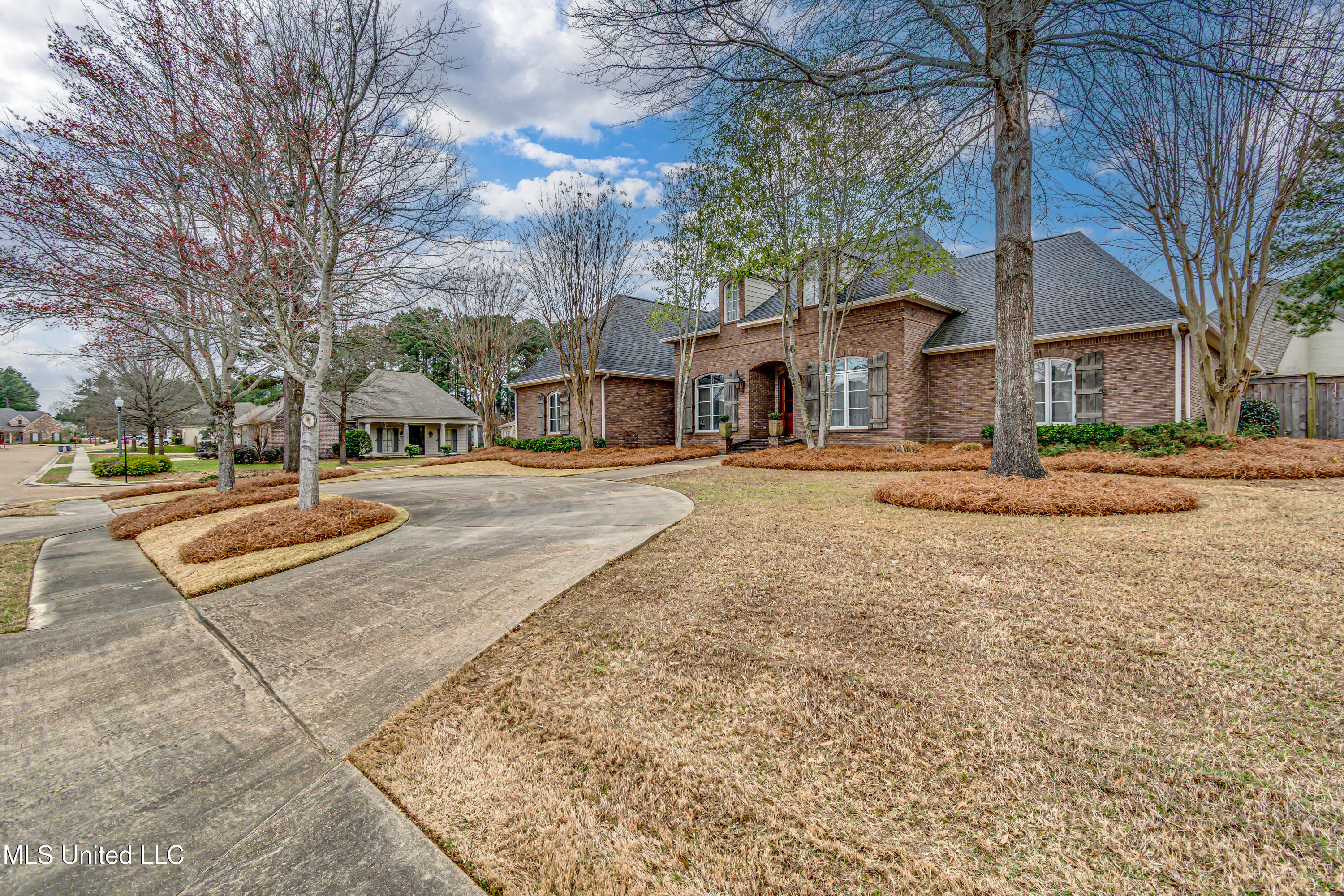 131 Chadwyck Place, Madison, Mississippi image 4