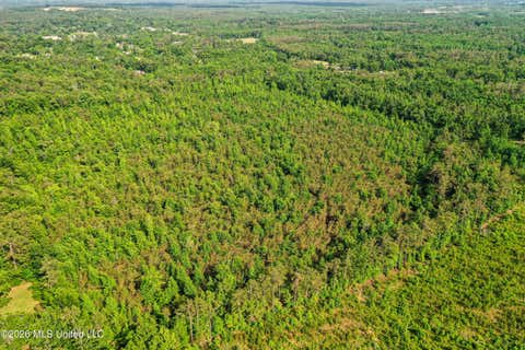 Vacant Land For Sale - County Road 816<br/> Blue Mountain, MS 38610
