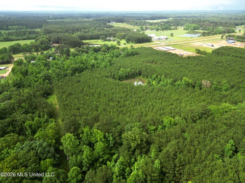 Vacant Land For Sale - 1099 Us-84<br/> Brookhaven, MS 39601